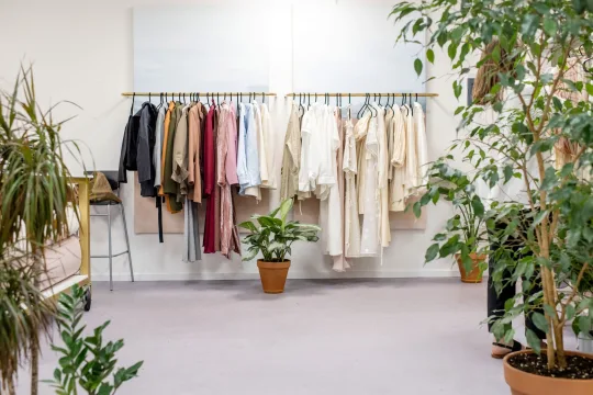 Elan: Brand Guide & Price Range