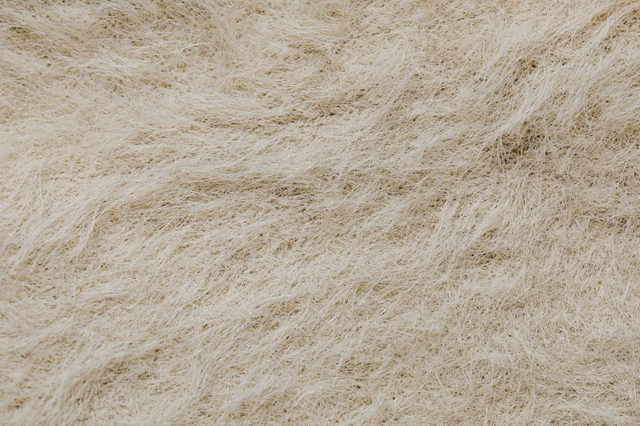 Lawn Fabric vs Cotton Lawn