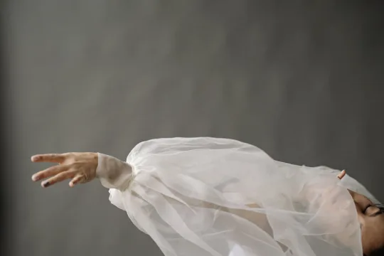 Organza Outfits: Styling Guide
