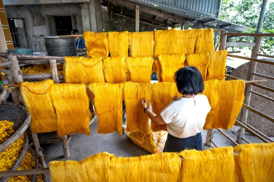 Silk vs Raw Silk