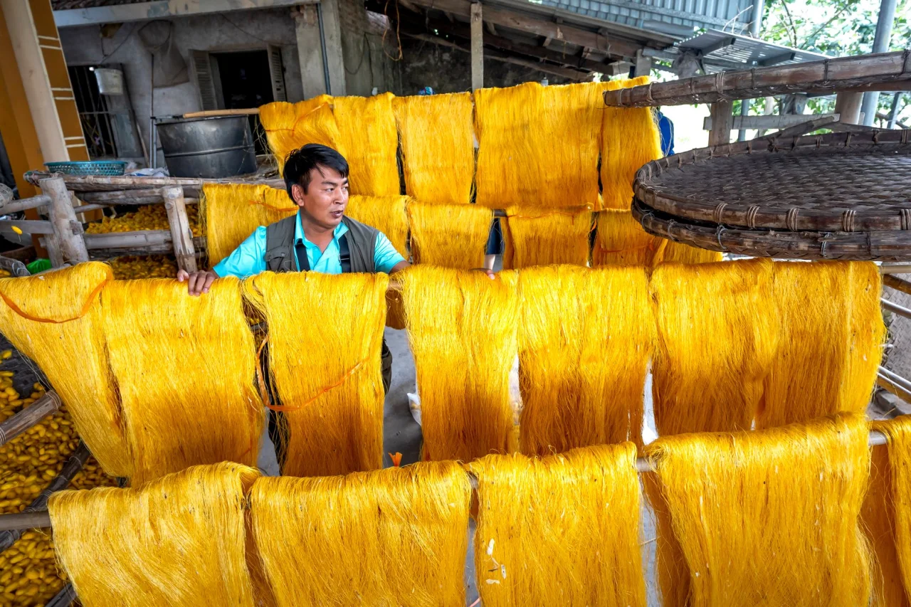 Silk vs Raw Silk