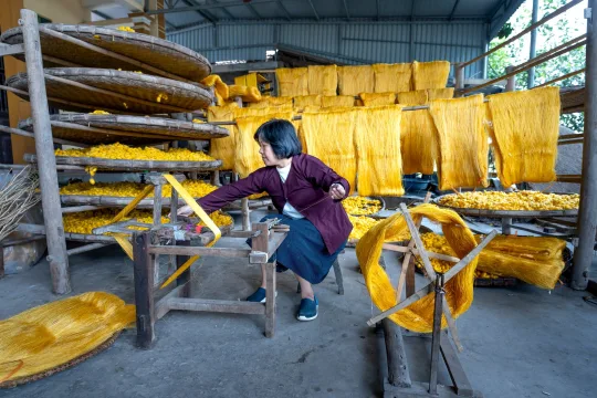 What Is Raw Silk? A Full Guide